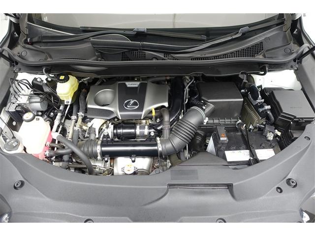 ���G���W�����[�����N���|�j���O�ς݁I�z�R����D�A�I�C������𗎂Ƃ��Ă��璚�J�ɐ�򂵂܂����I�����̂Ƃ���s�J�s�J�ł��I