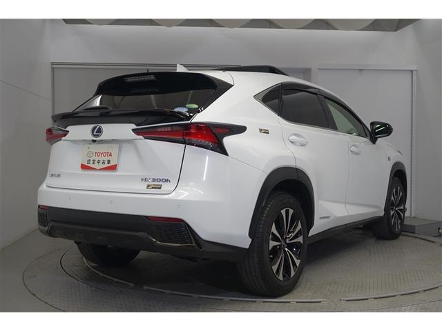 �o�b�N�h�A�͑傫����ɒ��ˏオ��܂��̂ŉו��̏o��������ȒP�ɏo���܂��B�J�̓��ɂ̓o�b�N�h�A���J�����ɂȂ��Ă���܂��恙