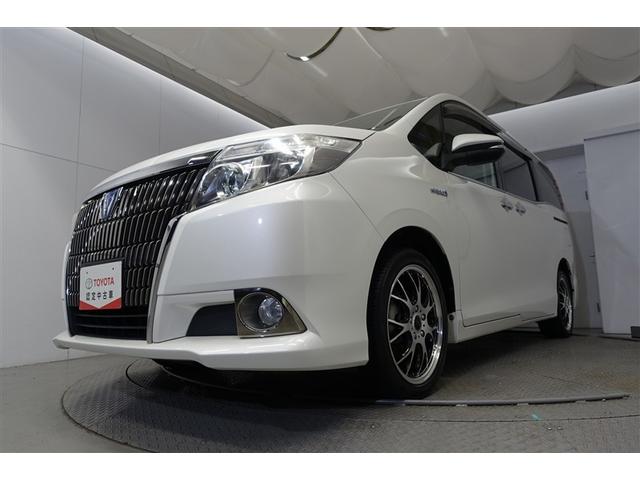 �t-�b�����͂��ׂē������̂�������_���ƂȂ��Ă��܂��B���̂��ߋC�ɂȂ邨�N���}������܂����炨���߂ɂ��A������������