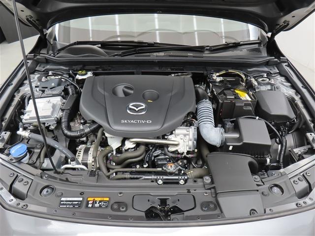 ���G���W�����[�����N��-�j���O�ς݁I�z�R����D�A�I�C������𗎂Ƃ��Ă��璚�J�ɐ�򂵂܂����I�����̂Ƃ���s�J�s�J�ł��I