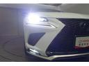 話題のLEDヘッドランプが採用されております! 省電力で長寿命、しかもとても明るく熱くなりにくい性質を持ったライトになります。虫も寄ってきにくい性質も持っております。