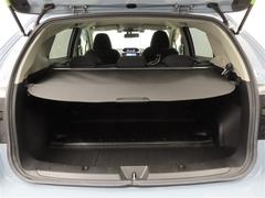 ���������礭������ʪ�νФ����줬�饯�饯�Ǥ��� 7