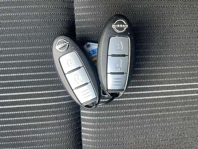 �C���e���W�F���g�L�[�́A�J�M�����o�����ɁA�J�{���E�G���W���n�����\�ł��B