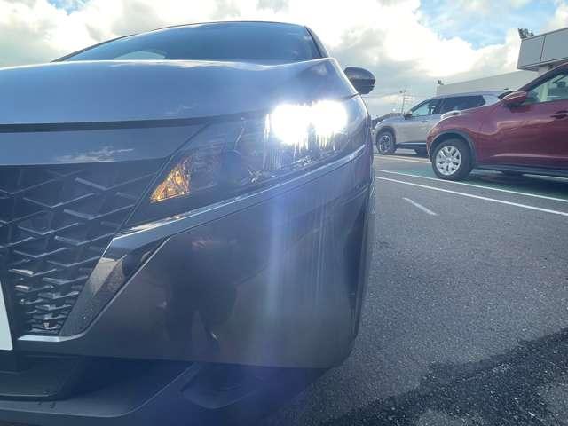 �k�d�c�w�b�h�����v�F�n���Q�������v�̖�Q�{�̌��ʂł�薾�邭�������Ƃ炵�A��ԑ��s���̎��F�������߂܂��B