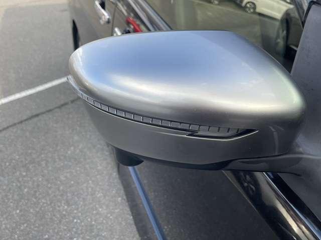 セレナ ２．０　ＡＵＴＥＣＨ　スポーツスペック　ＬＥＤランプ　追従クルーズ　インテリキー　両側電動ドア　ワンオーナー　バックカメラ　Ｉ－ＳＴＯＰ　ＬＫＡ　ＥＴＣ　Ｄレコ　ナビＴＶ　メモリーナビ　アルミ　全周囲　衝突軽減システム（18枚目）