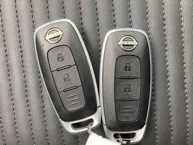 �C���e���W�F���g�L�[�́A�J�M�����o�����ɁA�J�{���E�G���W���n�����\�ł��B