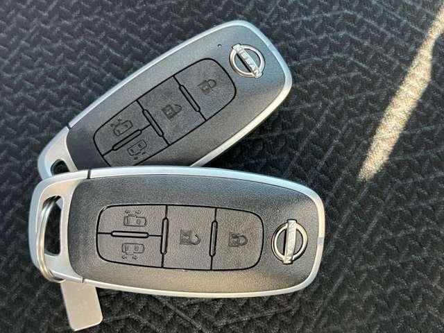 �C���e���W�F���g�L�[�́A�J�M�����o�����ɁA�J�{���E�G���W���n���ɗ����d���X���C�h�h�A�̊J���\�ł��B