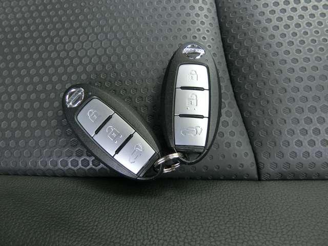 �C���e���W�F���g�L�[�́A�J�M�����o�����ɁA�J�{���E�G���W���n�����\�ł��B