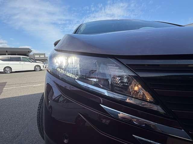 �k�d�c�w�b�h�����v�F�n���Q�������v�̖�Q�{�̌��ʂł�薾�邭�������Ƃ炵�A��ԑ��s���̎��F�������߂܂��B