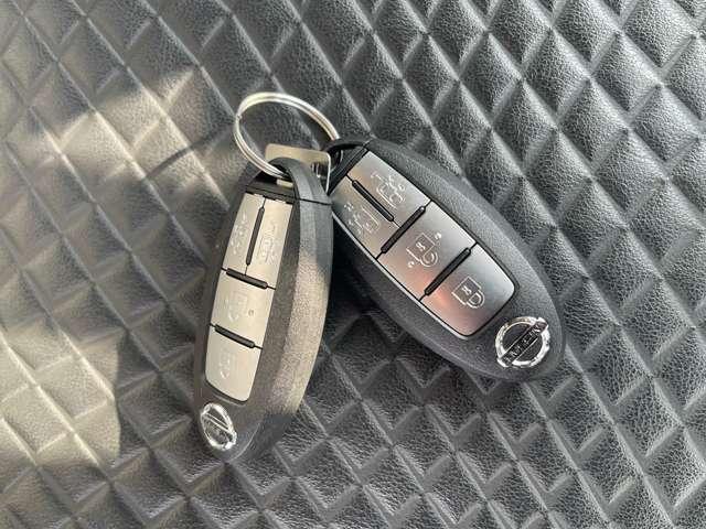 �C���e���W�F���g�L�[�́A�J�M�����o�����ɁA�J�{���E�G���W���n�����\�ł��B