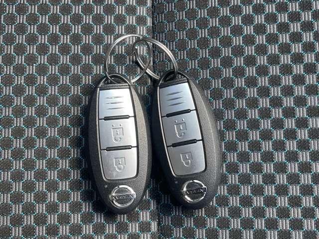 �C���e���W�F���g�L�[�́A�J�M�����o�����ɁA�J�{���E�G���W���n�����\�ł��B