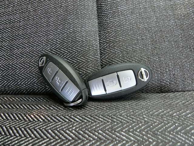 �C���e���W�F���g�L�[�́A�J�M�����o�����ɁA�J�{���E�G���W���n�����\�ł��B