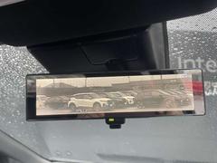 ���ޡ��ȥ롼��ߥ顼���������ʤ˿ͤ��¤äƤ�����䡢��ʪ��¿���ݤǤ������ǧ�����䤹���Ǥ��� 7