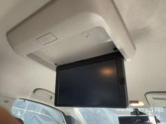 �������ʥ�˥����Ǥ����ƥ�ӡ��ģ֣Ĥ��ڤ���ޤ��ΤǾ����������ͤ�����ä���뤴������Ĺ��Υ�ɥ饤�֤�������Ǥ��� 7