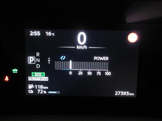 �C�O�j�b�V�����n�m�őN�₩�ɔ������郁�[�^�[�B