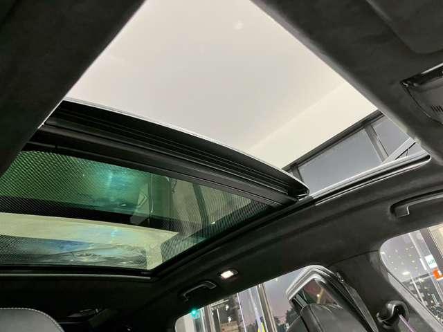 Ｘ７ ｘＤｒｉｖｅ　４０ｄ　Ｍスポーツ　４ＷＤ　ＥＴＣ　オートクルーズコントロール　レーンアシスト　パワーシート　パークアシスト　衝突被害軽減システム　サンルーフ　ナビ　オートライト　ヘッドライトウォッシャー　電動リアゲート　アルミホイール（10枚目）