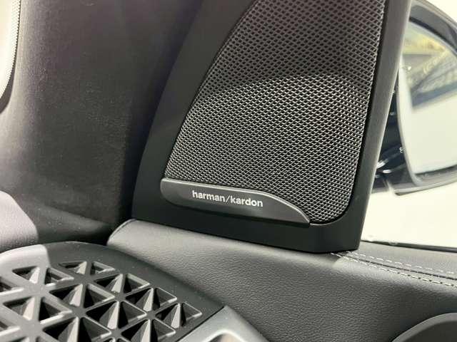 Ｘ７ ｘＤｒｉｖｅ　４０ｄ　Ｍスポーツ　４ＷＤ　ＥＴＣ　オートクルーズコントロール　レーンアシスト　パワーシート　パークアシスト　衝突被害軽減システム　サンルーフ　ナビ　オートライト　ヘッドライトウォッシャー　電動リアゲート　アルミホイール（35枚目）