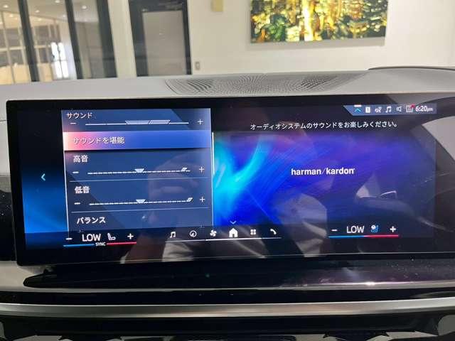 Ｘ７ ｘＤｒｉｖｅ　４０ｄ　Ｍスポーツ　４ＷＤ　ＥＴＣ　オートクルーズコントロール　レーンアシスト　パワーシート　パークアシスト　衝突被害軽減システム　サンルーフ　ナビ　オートライト　ヘッドライトウォッシャー　電動リアゲート　アルミホイール（45枚目）