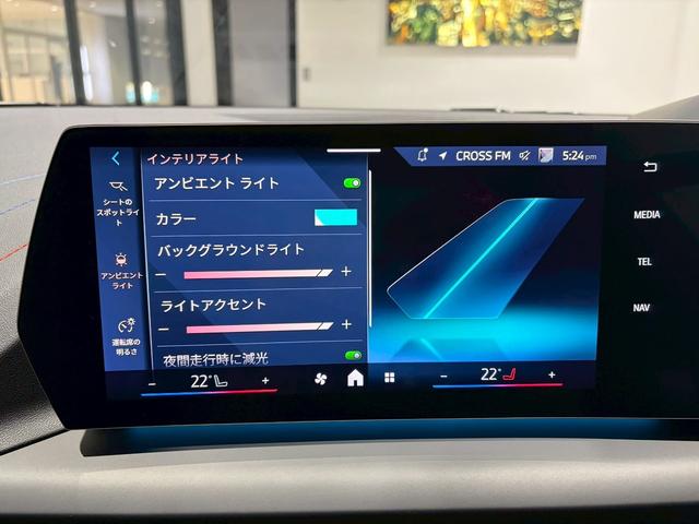 １シリーズ １２０　Ｍスポーツ　認定中古車　アイコニックグロー　全方位カメラ　ＡｐｐｌｅＣａｒＰｌａｙ（13枚目）