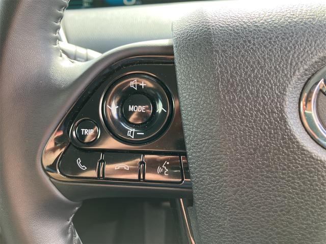 プリウス S ドライブレコーダー ETC レーンアシスト オートクルーズコントロール 衝突被害軽減システム バックカメラ ナビ TV アルミホイール オートマチックハイビーム オートライト LEDヘッドランプ(45枚目)