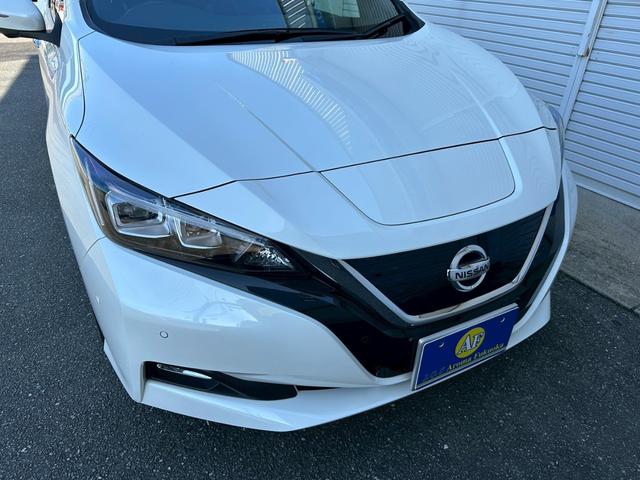 リーフ Ｇ　革シート　ＢＯＳＥ　プロパイロット　衝突軽減　全方位カメラ　コーナーセンサー　レーンアシスト　全周囲カメラ　ビルトインＥＴＣ　シートヒーター　オートパーキングアシスト　メモリーナビ　追従オートクルーズ（17枚目）