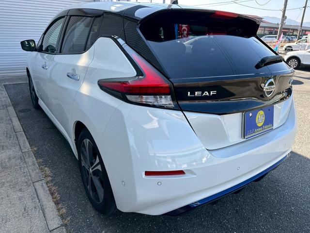リーフ Ｇ　革シート　ＢＯＳＥ　プロパイロット　衝突軽減　全方位カメラ　コーナーセンサー　レーンアシスト　全周囲カメラ　ビルトインＥＴＣ　シートヒーター　オートパーキングアシスト　メモリーナビ　追従オートクルーズ（19枚目）