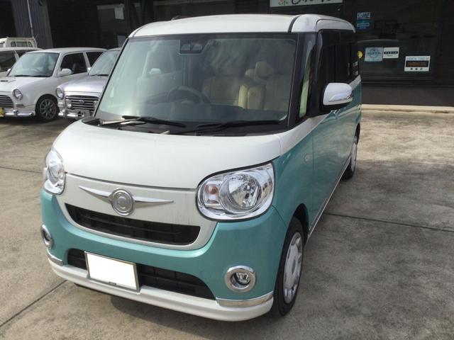 ムーヴキャンバス Ｘメイクアップリミテッド　ＳＡＩＩＩ（7枚目）