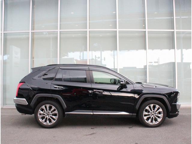 バディ 20LX ワンオーナー Buddyフレアロゴ パワーシート シートヒーター パワーテールゲート 全周囲カメラ アダプティブクルーズコントロール シートメモリー オートホールド サイドメッキモール 地デジ(4枚目)