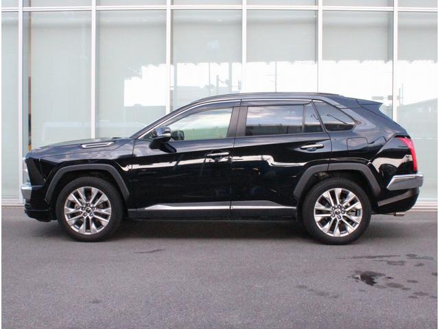 バディ 20LX ワンオーナー Buddyフレアロゴ パワーシート シートヒーター パワーテールゲート 全周囲カメラ アダプティブクルーズコントロール シートメモリー オートホールド サイドメッキモール 地デジ(5枚目)