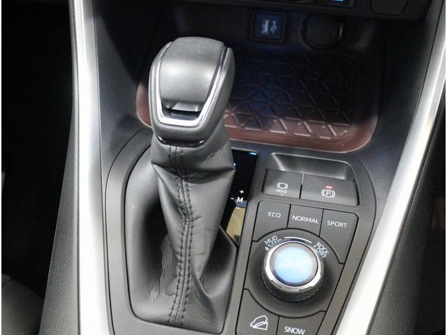 バディ 20LX ワンオーナー Buddyフレアロゴ パワーシート シートヒーター パワーテールゲート 全周囲カメラ アダプティブクルーズコントロール シートメモリー オートホールド サイドメッキモール 地デジ(12枚目)