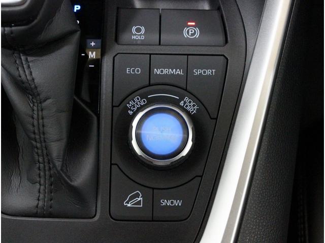 バディ 20LX ワンオーナー Buddyフレアロゴ パワーシート シートヒーター パワーテールゲート 全周囲カメラ アダプティブクルーズコントロール シートメモリー オートホールド サイドメッキモール 地デジ(15枚目)