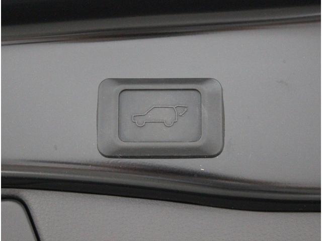 バディ 20LX ワンオーナー Buddyフレアロゴ パワーシート シートヒーター パワーテールゲート 全周囲カメラ アダプティブクルーズコントロール シートメモリー オートホールド サイドメッキモール 地デジ(19枚目)