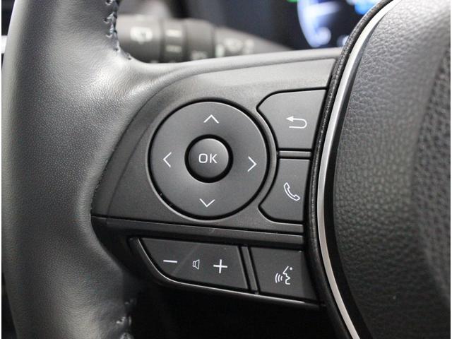 バディ 20LX ワンオーナー Buddyフレアロゴ パワーシート シートヒーター パワーテールゲート 全周囲カメラ アダプティブクルーズコントロール シートメモリー オートホールド サイドメッキモール 地デジ(23枚目)