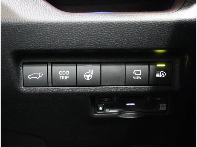 バディ 20LX ワンオーナー Buddyフレアロゴ パワーシート シートヒーター パワーテールゲート 全周囲カメラ アダプティブクルーズコントロール シートメモリー オートホールド サイドメッキモール 地デジ(25枚目)