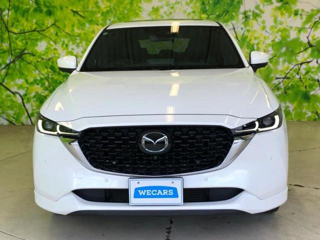 ������̂��Ԃ͂������ł��傤���H�����ł��C�ɂȂ��Ă��������܂����琥�񂨖₢���킹���������I����ɂ��Ԃ̏ڍׂ������肢�����܂��I