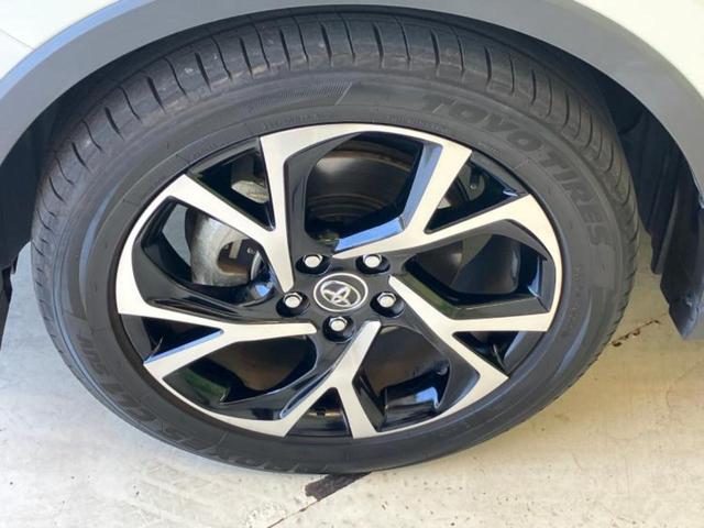 �u���̎Ԃ̎ʐ^�������ƌ������v�u��Ԃ��C�ɂȂ�v�u���̑����͂��Ă���H�v�ǂ�ȏ����ȋ^��ł����C�y�ɂ��₢���킹���������I