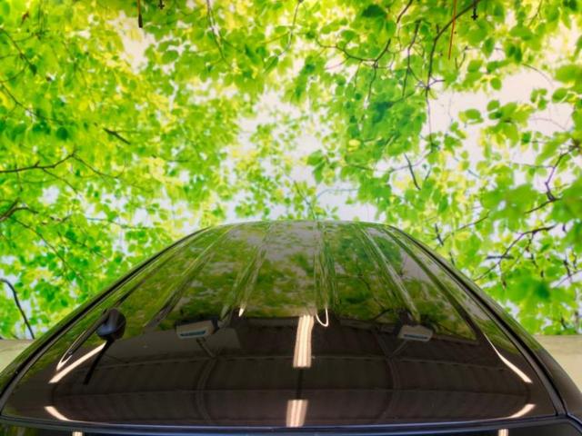 キャロル ＧＬ　保証書／衝突安全装置／シートヒーター　運転席／車線逸脱防止支援システム／ＥＢＤ付ＡＢＳ／横滑り防止装置／アイドリングストップ／禁煙車／パワーウインドウ／キーレス／パワーステアリング／オートライト（38枚目）