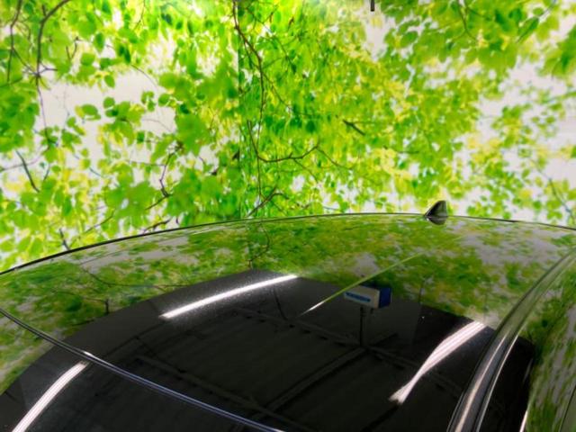 Ｃ－ＨＲ Ｇ　ＬＥＤエディション　新品タイヤ／社外エアロ／保証書／純正　９インチ　ＳＤナビ／衝突安全装置／シートヒーター／車線逸脱防止支援システム／シート　ハーフレザー／ヘッドランプ　ＬＥＤ／Ｂｌｕｅｔｏｏｔｈ接続／ＥＴＣ　記録簿（39枚目）