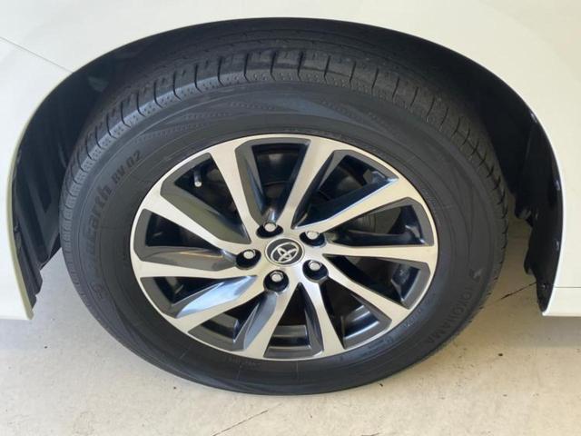 �u���̎Ԃ̎ʐ^�������ƌ������v�u��Ԃ��C�ɂȂ�v�u���̑����͂��Ă���H�v�ǂ�ȏ����ȋ^��ł����C�y�ɂ��₢���킹���������I