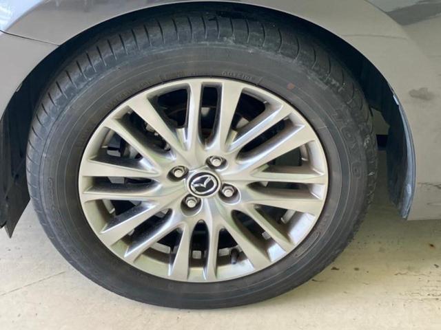 �u���̎Ԃ̎ʐ^�������ƌ������v�u��Ԃ��C�ɂȂ�v�u���̑����͂��Ă���H�v�ǂ�ȏ����ȋ^��ł����C�y�ɂ��₢���킹���������I