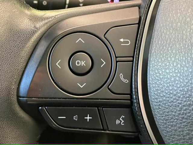 RAV4 4WDアドベンチャー 保証書/純正 9インチ SDナビ/デジタルインナーミラー/衝突安全装置/シートヒーター 前席/車線逸脱防止支援システム/シート フルレザー/ヘッドランプ LED/Bluetooth接続/ETC 4WD(25枚目)