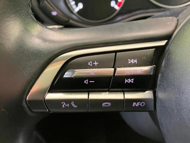 ＣＸ－３０ ２０Ｓ　新品タイヤ／保証書／純正　ＳＤナビ／衝突安全装置／全方位モニター／車線逸脱防止支援システム／ヘッドランプ　ＬＥＤ／Ｂｌｕｅｔｏｏｔｈ接続／ＥＴＣ／ＥＢＤ付ＡＢＳ／横滑り防止装置　衝突被害軽減システム（24枚目）