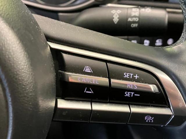 ＣＸ－３０ ２０Ｓ　新品タイヤ／保証書／純正　ＳＤナビ／衝突安全装置／全方位モニター／車線逸脱防止支援システム／ヘッドランプ　ＬＥＤ／Ｂｌｕｅｔｏｏｔｈ接続／ＥＴＣ／ＥＢＤ付ＡＢＳ／横滑り防止装置　衝突被害軽減システム（25枚目）