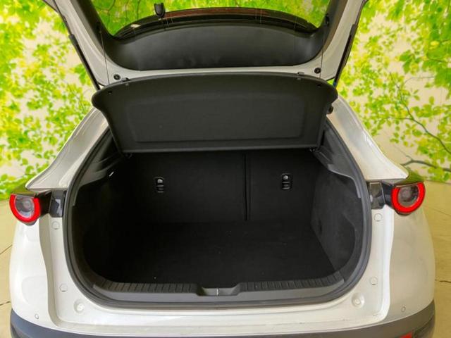ＣＸ－３０ ２０Ｓ　新品タイヤ／保証書／純正　ＳＤナビ／衝突安全装置／全方位モニター／車線逸脱防止支援システム／ヘッドランプ　ＬＥＤ／Ｂｌｕｅｔｏｏｔｈ接続／ＥＴＣ／ＥＢＤ付ＡＢＳ／横滑り防止装置　衝突被害軽減システム（31枚目）