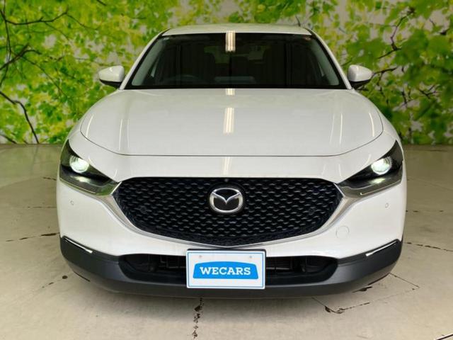 ＣＸ－３０ ２０Ｓ　新品タイヤ／保証書／純正　ＳＤナビ／衝突安全装置／全方位モニター／車線逸脱防止支援システム／ヘッドランプ　ＬＥＤ／Ｂｌｕｅｔｏｏｔｈ接続／ＥＴＣ／ＥＢＤ付ＡＢＳ／横滑り防止装置　衝突被害軽減システム（33枚目）