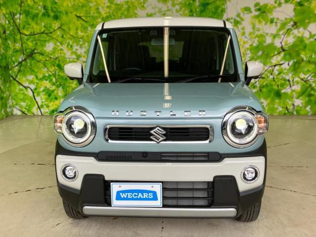 ������̂��Ԃ͂������ł��傤���H�����ł��C�ɂȂ��Ă��������܂����琥�񂨖₢���킹���������I����ɂ��Ԃ̏ڍׂ������肢�����܂��I