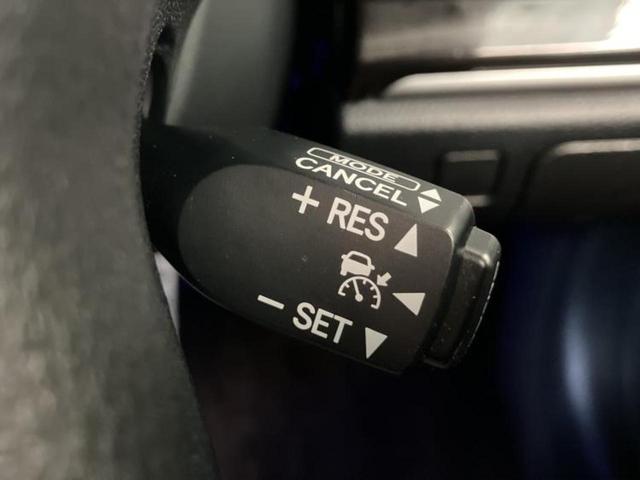 �v�d�b�`�q�r�̓W����ł͎��ۂɌ��āA�G���Ă��Ԃ����I�т��������܂��I�m���̖L�x�ȉc�ƃX�^�b�t���l�X�ȃJ�[���C�t������Ă������܂��I