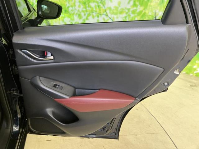 �u���̎Ԃ̎ʐ^�������ƌ������v�u��Ԃ��C�ɂȂ�v�u���̑����͂��Ă���H�v�ǂ�ȏ����ȋ^��ł����C�y�ɂ��₢���킹���������I