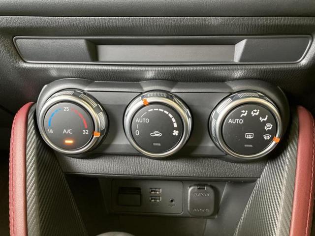 �u���̎Ԃ̎ʐ^�������ƌ������v�u��Ԃ��C�ɂȂ�v�u���̑����͂��Ă���H�v�ǂ�ȏ����ȋ^��ł����C�y�ɂ��₢���킹���������I