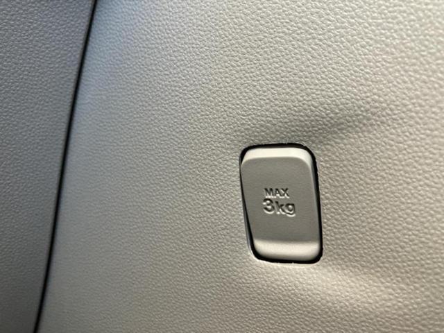 �u���̎Ԃ̎ʐ^�������ƌ������v�u��Ԃ��C�ɂȂ�v�u���̑����͂��Ă���H�v�ǂ�ȏ����ȋ^��ł����C�y�ɂ��₢���킹���������I